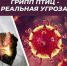 Грипп птицы! - Город Брянка
