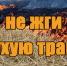 О недопустимости сжигания сухой травы - Город Брянка