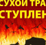 МЧС ИНФОРМИРУЕТ! - Город Брянка