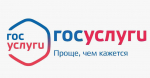 Сервис для восстановления и замены документов запустили на портале «Госуслуги»