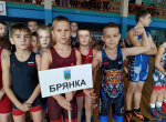 В Брянке стартовал Традиционный турнир по греко-римской борьбе среди младших юношей в честь мастера спорта СССР Виктора Семёновича Овчаренко