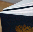 Жители ЛНР могут внести запись об увольнении в трудовую книжку через Соцфонд - Город Брянка