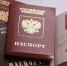Заявления о выдаче загранпаспорта РФ старого образца в ЛНР принимают 16 подразделений МВД - Город Брянка