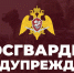 Внимание владельцам оружия! - Город Брянка