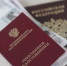 Реготделение СФР по ЛНР увеличило страховые пенсии более 400 тыс. пенсионеров на 7,6% - Город Брянка