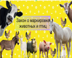 ПАМЯТКА ВЛАДЕЛЬЦАМ СЕЛЬСКОХОЗЯЙСТВЕННЫХ ЖИВОТНЫХ