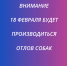18 февраля 2026 года в г. Брянка будет осуществлен отлов животных без владельцев (собак) - Город Брянка