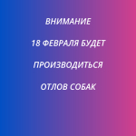 18 февраля 2026 года в г. Брянка будет осуществлен отлов животных без владельцев (собак)