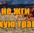 Не жгите сухую траву! Берегите жизнь, природу и имущество - Город Брянка