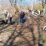 Анненка: ТОС "Надежда" наводит порядок! - Город Брянка